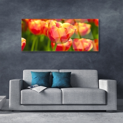 Quadro su vetro Tulipani Fiori Pianta