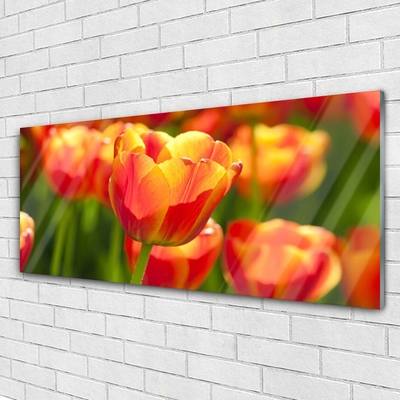 Quadro su vetro Tulipani Fiori Pianta