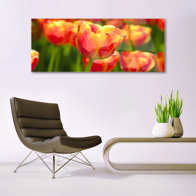 Quadro su vetro Tulipani Fiori Pianta