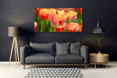 Quadro su vetro Tulipani Fiori Pianta