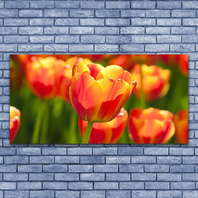 Quadro su vetro Tulipani Fiori Pianta