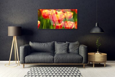 Quadro su vetro Tulipani Fiori Pianta