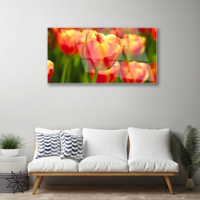 Quadro su vetro Tulipani Fiori Pianta