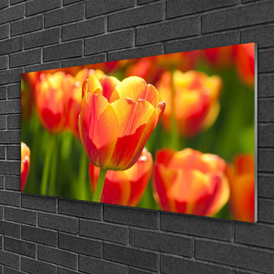 Quadro su vetro Tulipani Fiori Pianta