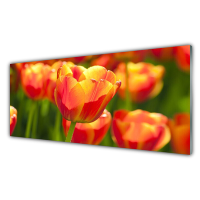 Quadro su vetro Tulipani Fiori Pianta