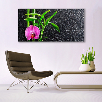 Quadro di vetro Gocce di fiori di bambù