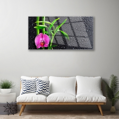 Quadro di vetro Gocce di fiori di bambù