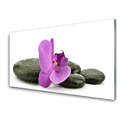 Quadro di vetro Orchidea fiorita