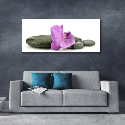 Quadro di vetro Orchidea fiorita