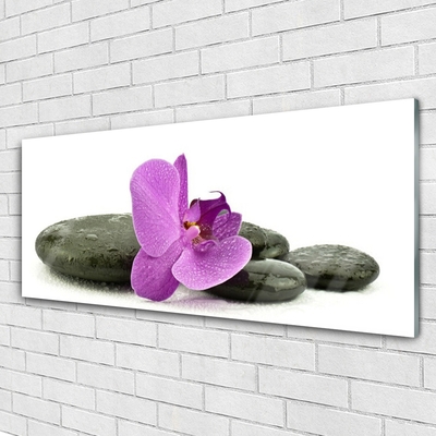 Quadro di vetro Orchidea fiorita