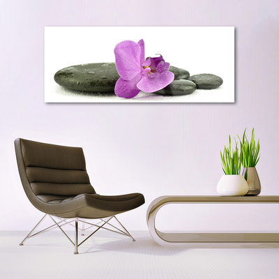 Quadro di vetro Orchidea fiorita