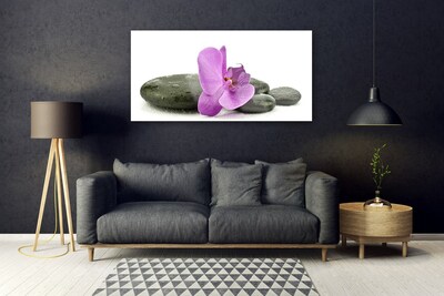 Quadro di vetro Orchidea fiorita