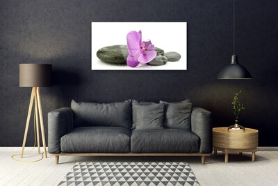 Quadro di vetro Orchidea fiorita