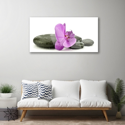 Quadro di vetro Orchidea fiorita