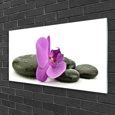 Quadro di vetro Orchidea fiorita