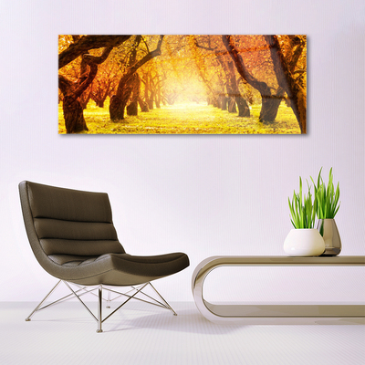 Quadro vetro Sentiero forestale Natura Alberi