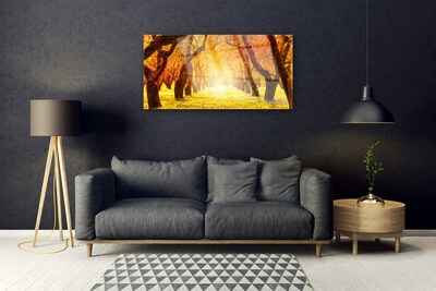 Quadro vetro Sentiero forestale Natura Alberi