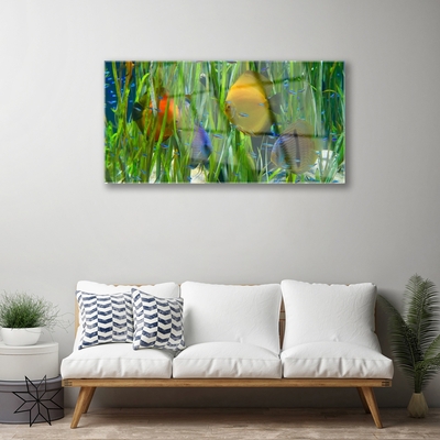 Quadro di vetro Pesce Alghe Natura