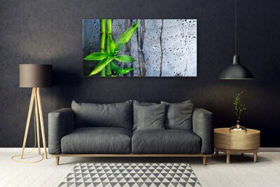 Quadro in vetro Pianta di foglie di bambù Natura