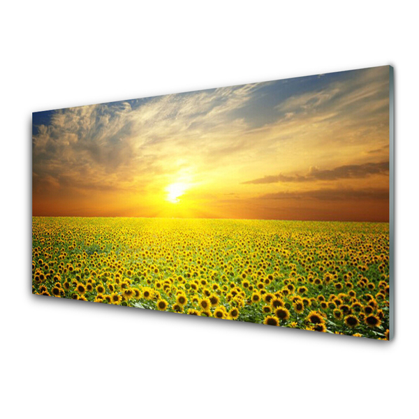 Quadro di vetro I girasoli di Sun Meadow