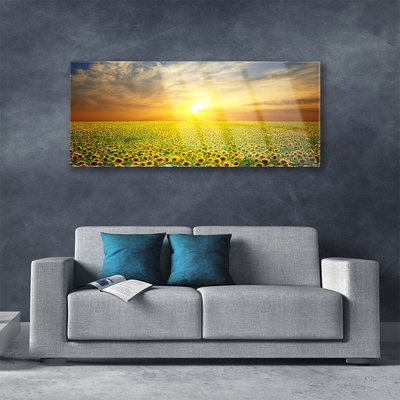 Quadro di vetro I girasoli di Sun Meadow