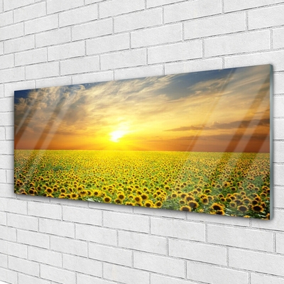 Quadro di vetro I girasoli di Sun Meadow