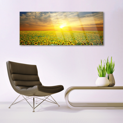 Quadro di vetro I girasoli di Sun Meadow