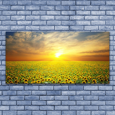 Quadro di vetro I girasoli di Sun Meadow