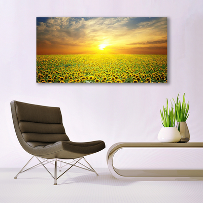 Quadro di vetro I girasoli di Sun Meadow