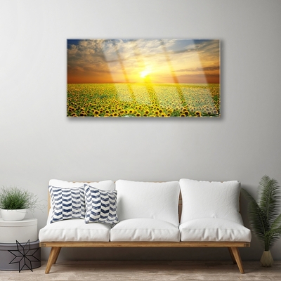 Quadro di vetro I girasoli di Sun Meadow