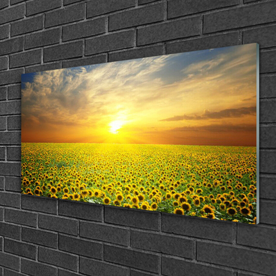 Quadro di vetro I girasoli di Sun Meadow