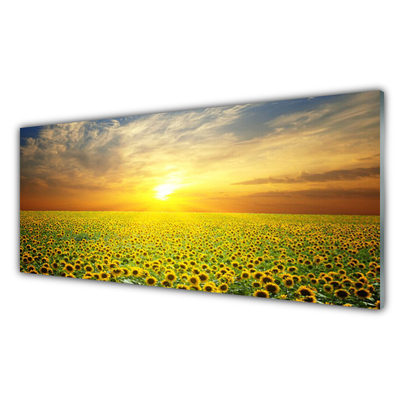 Quadro di vetro I girasoli di Sun Meadow