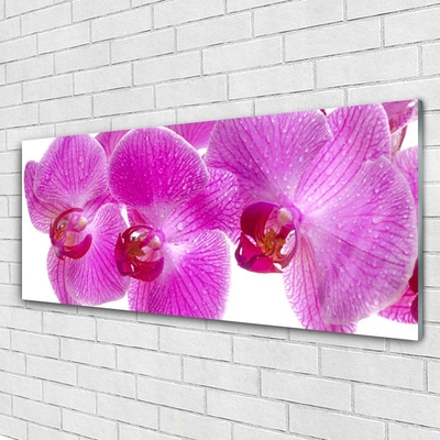 Quadro su vetro Fiori Pianta naturale