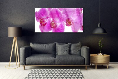 Quadro su vetro Fiori Pianta naturale