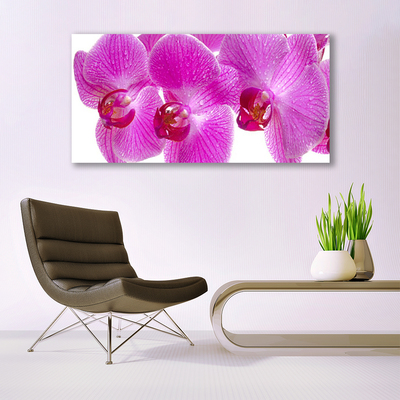 Quadro su vetro Fiori Pianta naturale