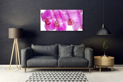 Quadro su vetro Fiori Pianta naturale