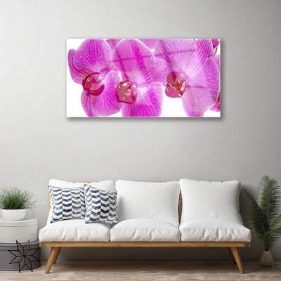 Quadro su vetro Fiori Pianta naturale