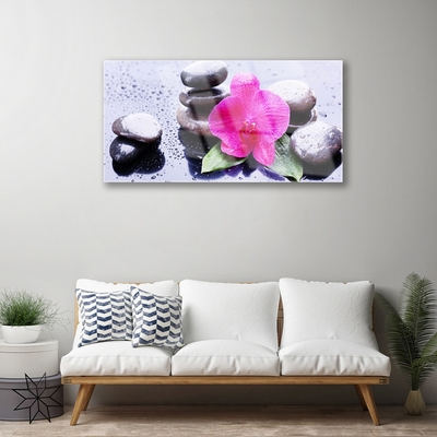 Quadro in vetro Arte delle orchidee