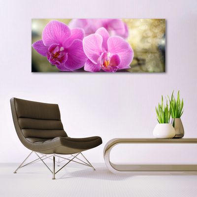 Quadro in vetro Fiori Pianta naturale