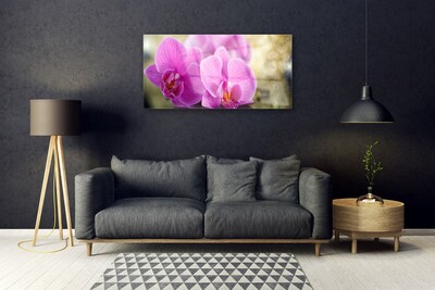 Quadro in vetro Fiori Pianta naturale