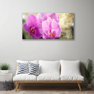 Quadro in vetro Fiori Pianta naturale