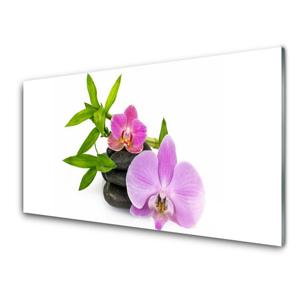 Quadro in vetro Pianta di orchidea da fiore