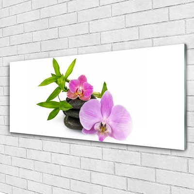 Quadro in vetro Pianta di orchidea da fiore