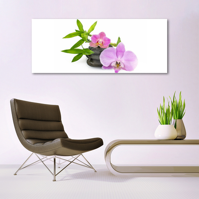 Quadro in vetro Pianta di orchidea da fiore