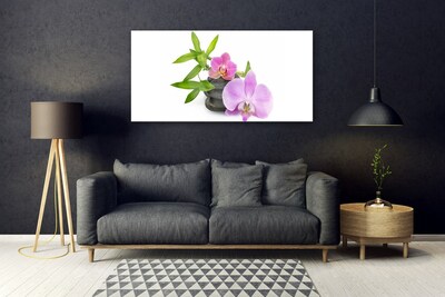 Quadro in vetro Pianta di orchidea da fiore