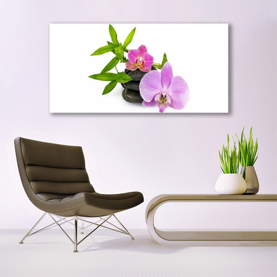 Quadro in vetro Pianta di orchidea da fiore