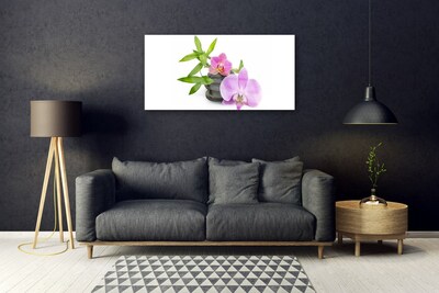 Quadro in vetro Pianta di orchidea da fiore