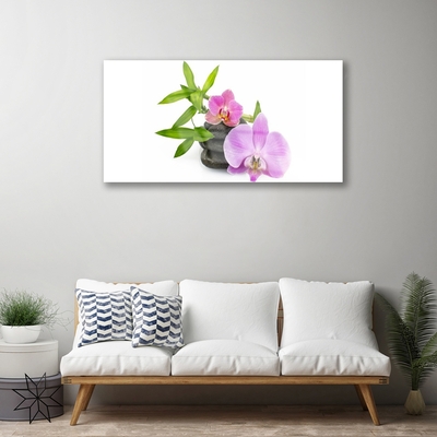 Quadro in vetro Pianta di orchidea da fiore