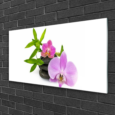 Quadro in vetro Pianta di orchidea da fiore