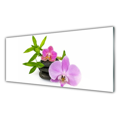 Quadro in vetro Pianta di orchidea da fiore